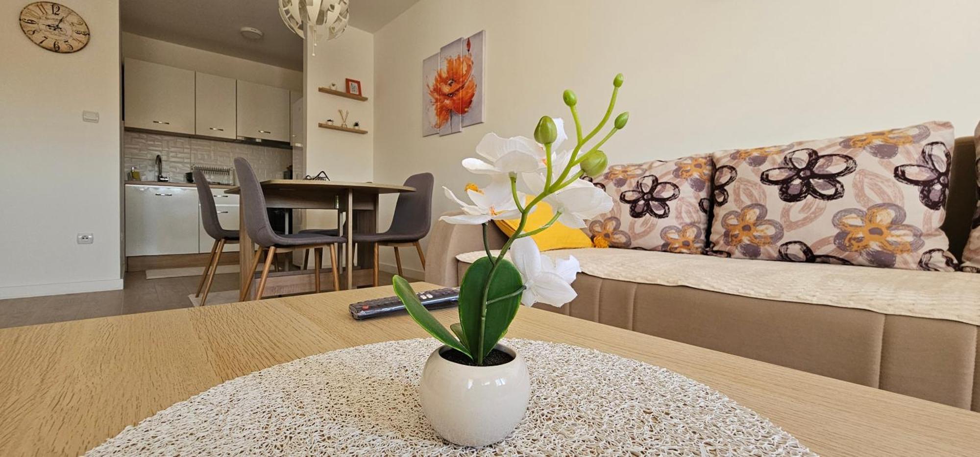 Apartman Vukota 2 피로트 외부 사진